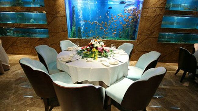 Four Seasons Rayli Hotel Ning-po Restaurace fotografie